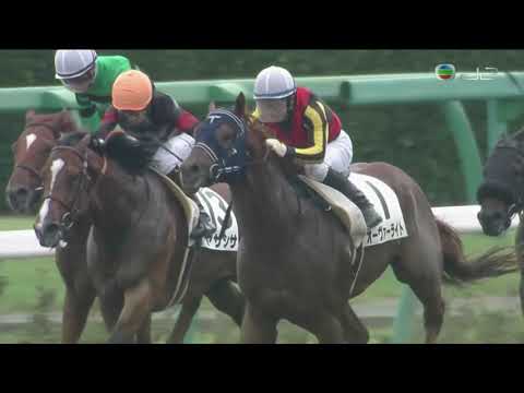 2018 Japan 3YO And Up Allowance - Overwrit (改寫) - H.Uchida