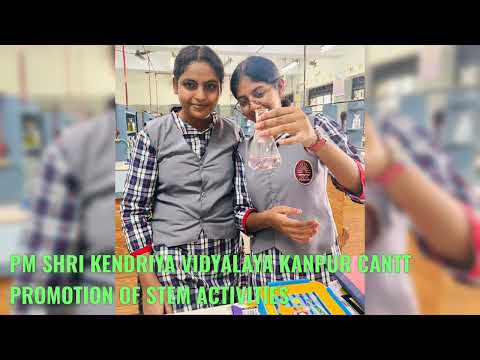 Stem Activities