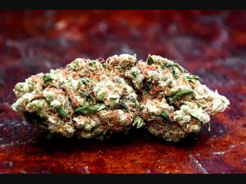 Clear Conscience ft. Hani of Katchafire Human Nature