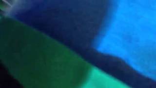 Planet hemp no barra music