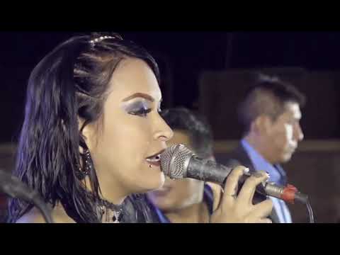 PARRANDA MIX HUGO BLANCO ORQUESTA ELEGANTES OFICIAL