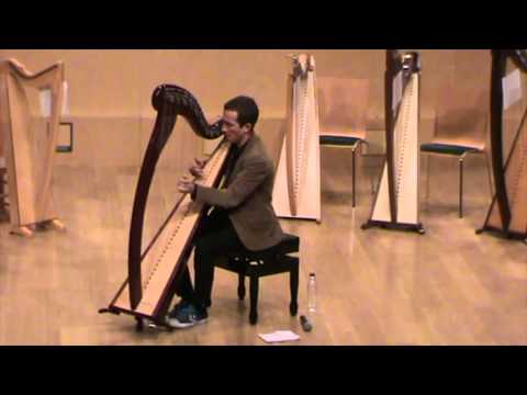 Slow air and set of reels/Nikolaz Cadoret/Celtic harp/Live @ Terrassa 2015