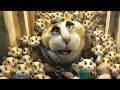 GOAT Trailer 2025
