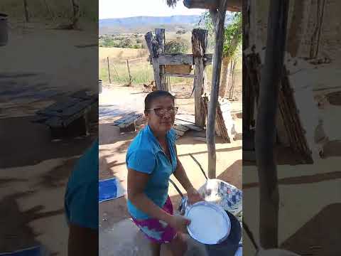 casa de farinha fazenda João mandú candiba Bahia