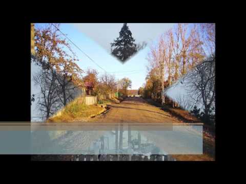 Borolea: Satul de ieri - Satul de azi