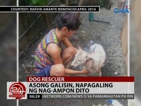 Inumin mula sa prutas ng tuyo bunga para sa pagbaba ng timbang at senna Hindi mawawala bigat para sa clenbuterol