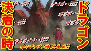 【ドラゴンズドグマ】経験値病に侵された覚者が赤いドラゴンと大決戦かましていきたいと思います～赤いドラゴンと大決戦ということで特別長編でお届けしますっ!!【ＤＤＤＡ難易度ハード!!】＃17