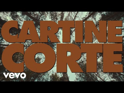 Salmo - CARTINE CORTE on Spotify Charts