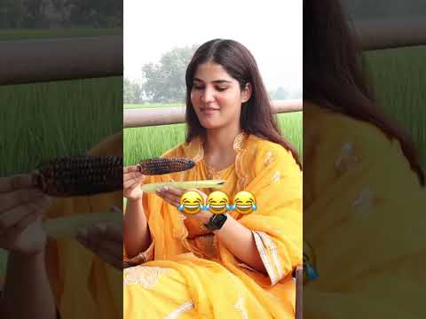 Tusi Mainu keha roti paun nu 😂 | Motor te with Aveera | Sardar’s Take #shorts