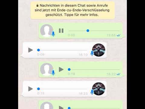 Die Katze von FAMILIE RITTER  wurde beleidigt! | BEEF | SPRACHNACHRICHTEN