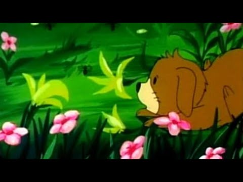 La Casa Voladora - Se Fue el Perro | EP19 | Historias Bíblicas | Dibujos Animados | Español Latino