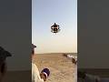 Kite Flying Video Kite Kiteground Kiteflying Tukal Guda Basant 2025 Shorts