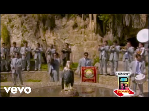 Banda Orquesta Internacional Santa Cecilia De Catac - Caballo Huaycho | Te Conocí (Official Video)