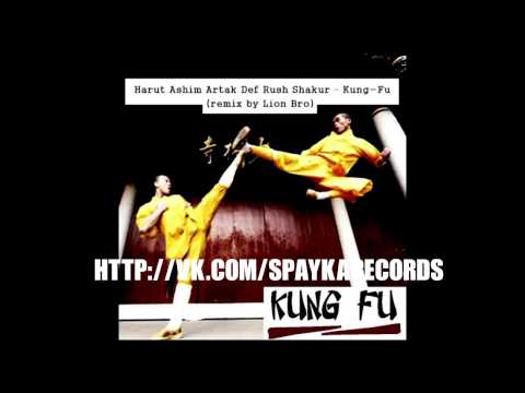 Harut Ashim Artak Def Rush Shakur - The Dark Side of Kung Fu (remix by Lion Bro)