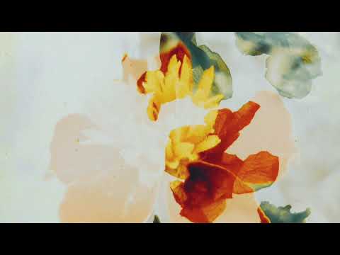 taste of the wild discount