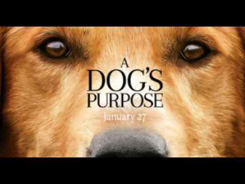 Home we'll go - Walk off the Earth ( A dog's purpose )