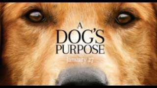 Home we&#39;ll go - Walk off the Earth ( A dog&#39;s purpose )