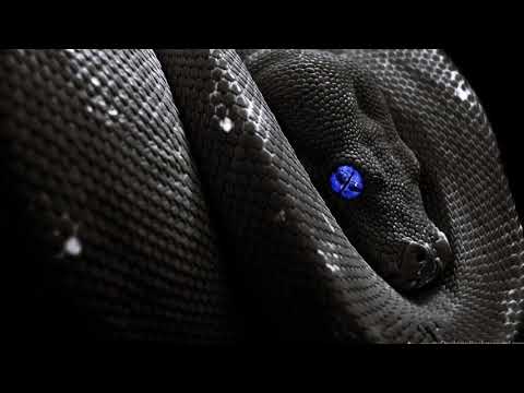 Feint - Snake Eyes (feat. CoMa) - Slowed to perfection