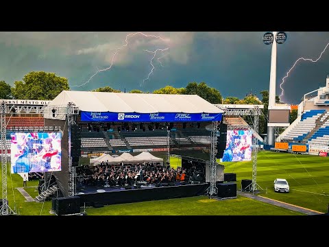 Náhled pro video reference