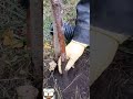 Курсы садовников оффлайн и онлайн - фото 1