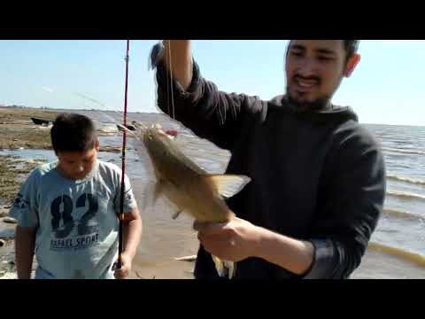 tremenda pesca en arocena santafe mucha pesca de moncholos