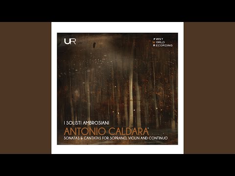 Innocente cor mio: No. 1, Innocente cor mio