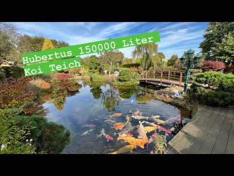150000 Liter / 13000 Liter Filtervolumen. Ein mega Projekt! Hubertus Koi Teich!