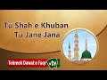 Rabi Ul Awal Naat Tu Shah E Khuban Tu Jane Jana Best Naat