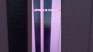 🌸SPRING IS COMING SOON!!🌸🌻 #spring #springday #springtime #springflowers #springtime🌸
