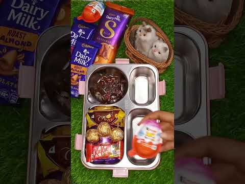 Itni Saari Chocolates 😮 #Ushnaabbasi #chocolate #lunchbox #subscribe #like #share #comment