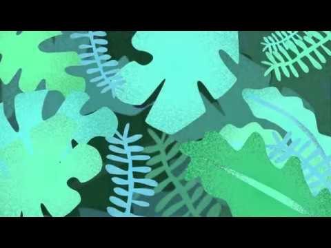 FITC 2017 Title Sequence