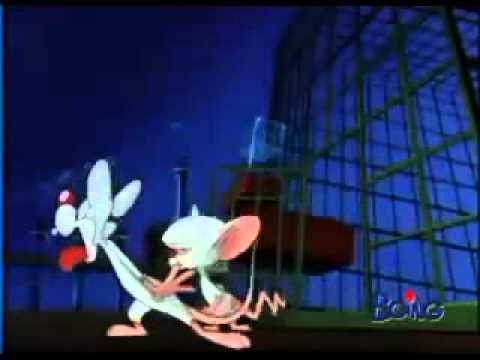 il Mignolo Col Prof.-sigla