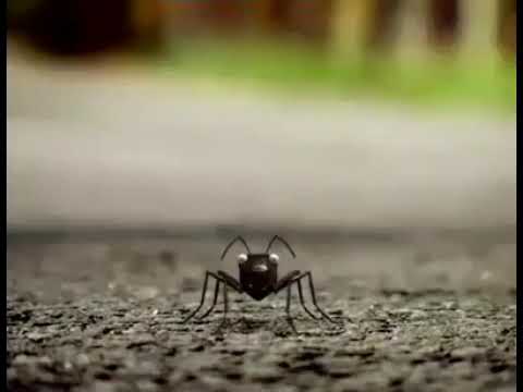 Reflexión Alcanzar la meta