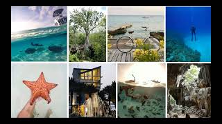 Recorded Webcast: Reopening the Cayman Islands