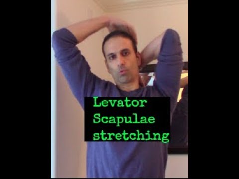 Trigger Point and active stretching of Levator Scapulae