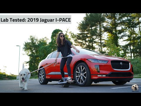 2019 Jaguar I-Pace EV400 First Edition: Andie the Lab Review Video