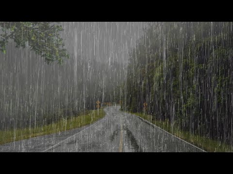 Sonido de Lluvia Fuerte y Perfecto para Dormir Profundamente - Lluvia en el Bosque Neblinoso - ASMR