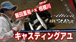 Altiva / アルティバ |PALMS | 株式会社パームス Altiva / アルティバ |PALMS | 株式会社パームス