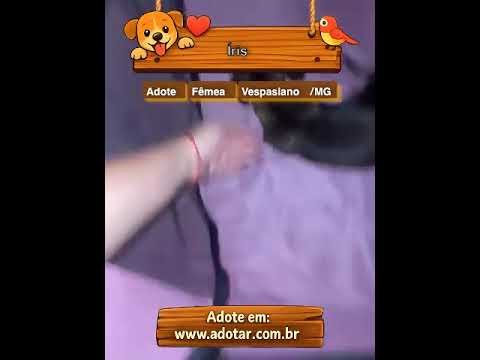 Vídeo de Íris