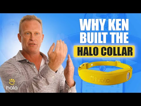 Breakthrough GPS Dog Collar: Why Halo Collar’s Founder Built It