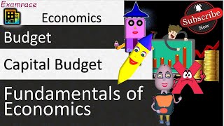 Capital Budget: Fundamentals of Economics