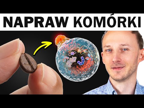 Odnawiają i chronią komórki: 12 silnych antyoksydantów