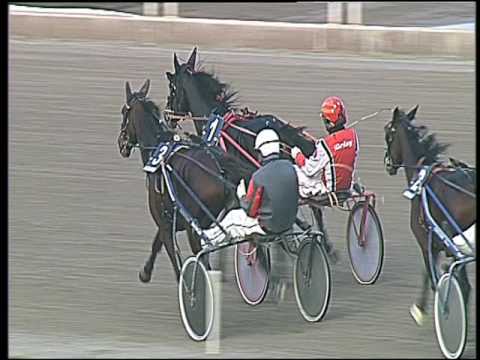 Trotto 11/11/2016 - 3ª corsa