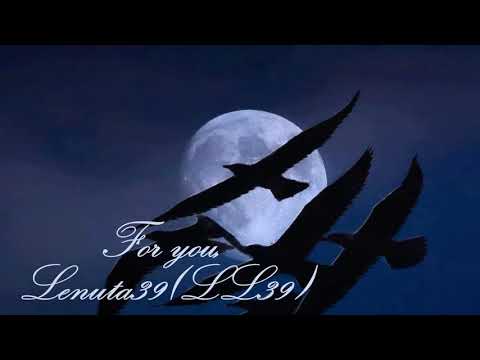 Feelings ~ Ernesto Cortazar~  *****