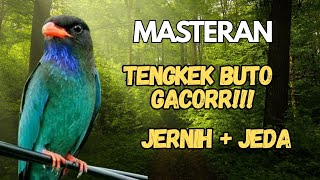Download lagu MASTERAN TENGKEK BUTO GACOR SUARA JERNIH SPEED RAPAT  JEDA mp3