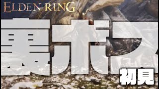 【初見ソロ】迷子のエルデ#17　『PVの人と戯れる(ボコボコにされる)』