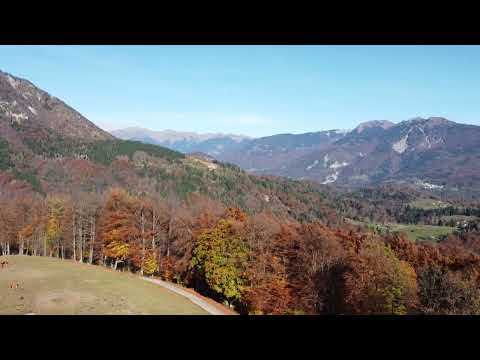 Enemonzo | autunno "estivo" | 1