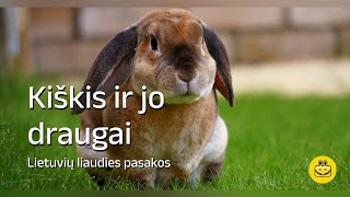 Kiškis ir jo draugai - Audio pasaka