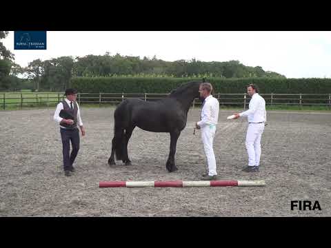 Locatiekeuring Stal Mellema 18-8-2018