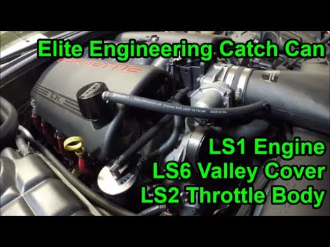 Elite Engineering Catch Can - LS1 engine with LS2 TB and LS6 Valley Cover